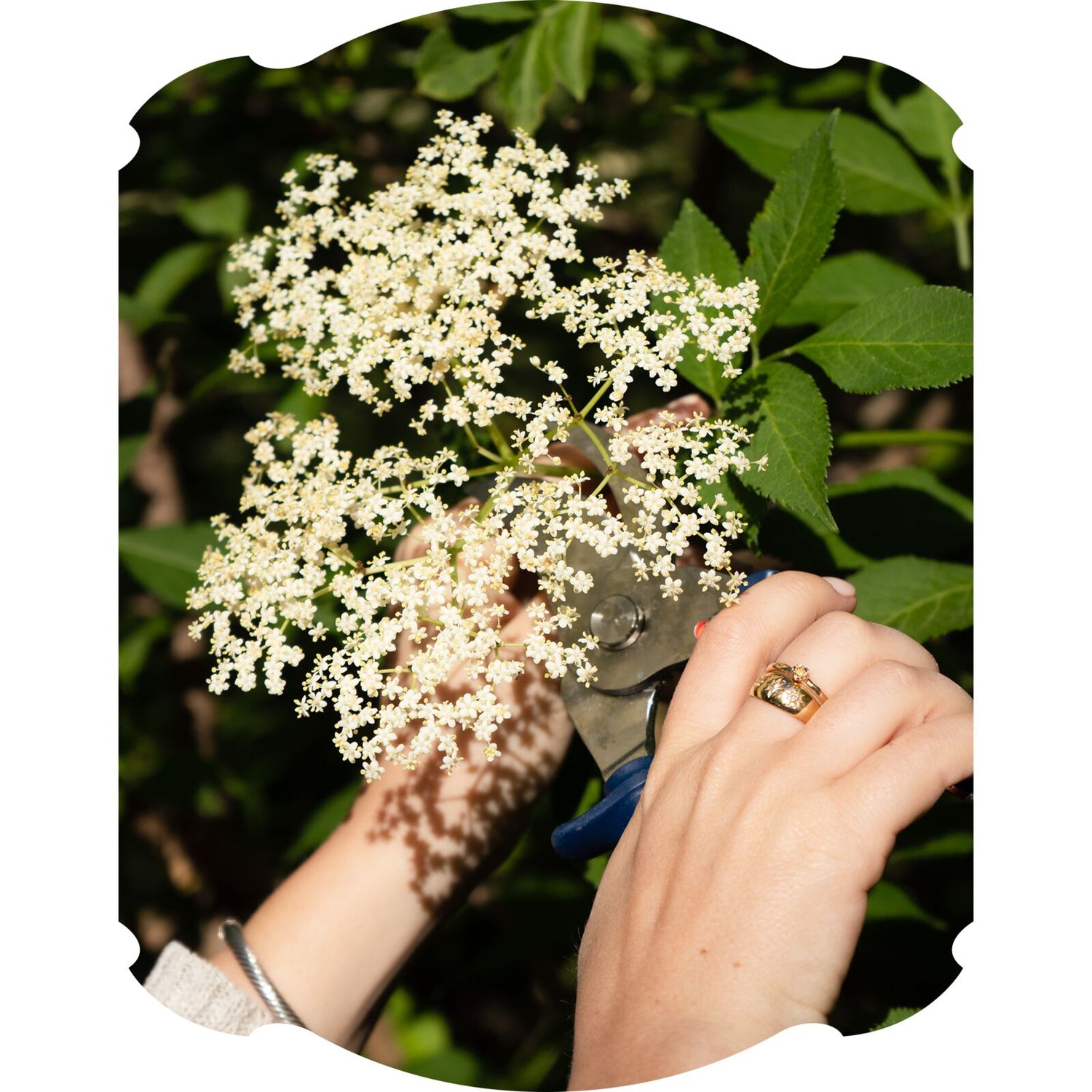 St-Germain Elderflower Liqueur, 70cl